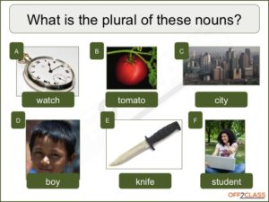 irregular-plurals