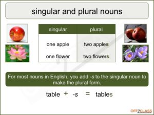 singular-plural-lesson-plan