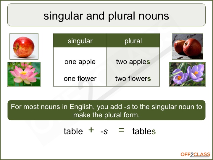 Singular Plural Lesson Plan - How to Teach - Off2Class