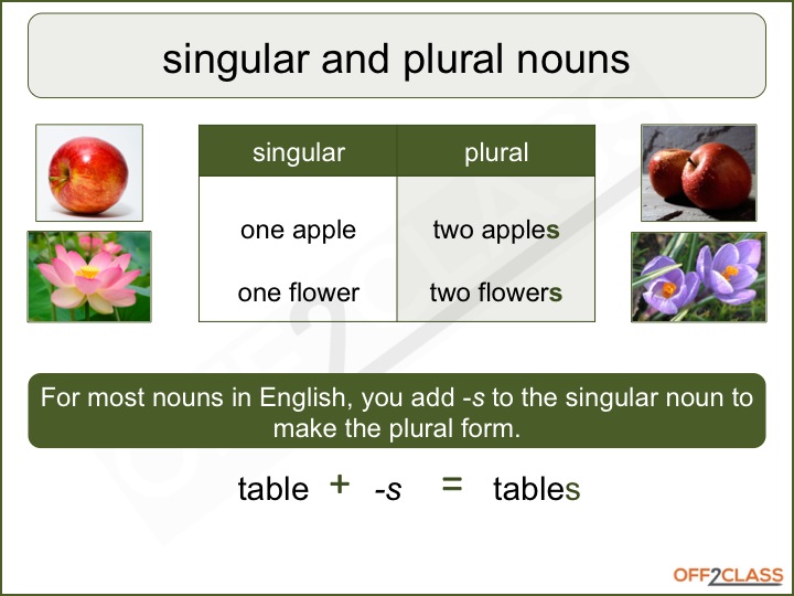 is assignments singular or plural