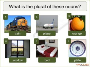 singular-plural-lesson-plan