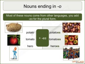 singular-plural-lesson-plan