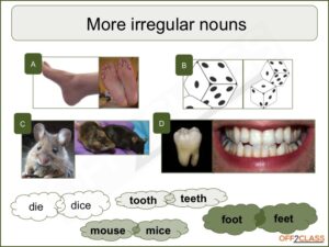 irregular plurals