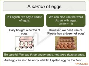 noun-quantifiers