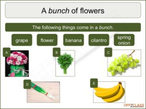 noun-quantifiers