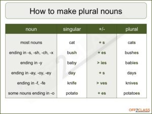 singular-plural-lesson-plan