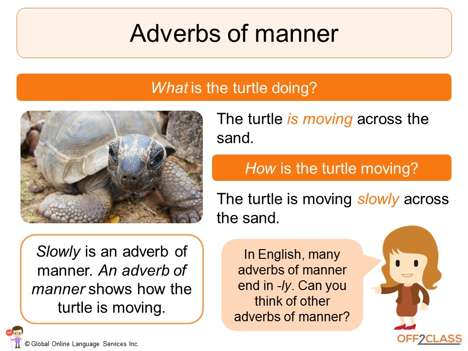 Quick adverb. Adverbs of manner. Adverbs of manner в английском языке. Adjectives adverbs of manner. Adverbs of manner правило.