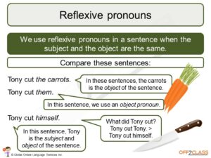possessive, reflexive and reciprocal pronouns