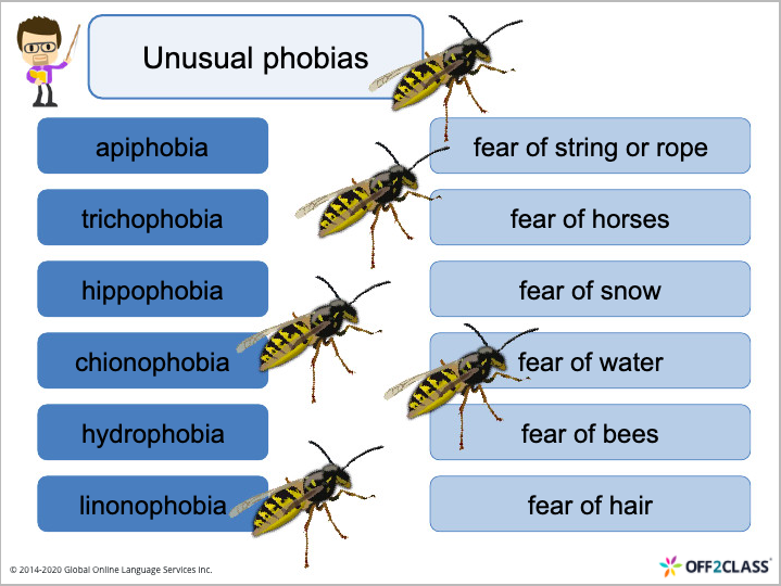 speaking ESL lesson plan Fears and Phobias